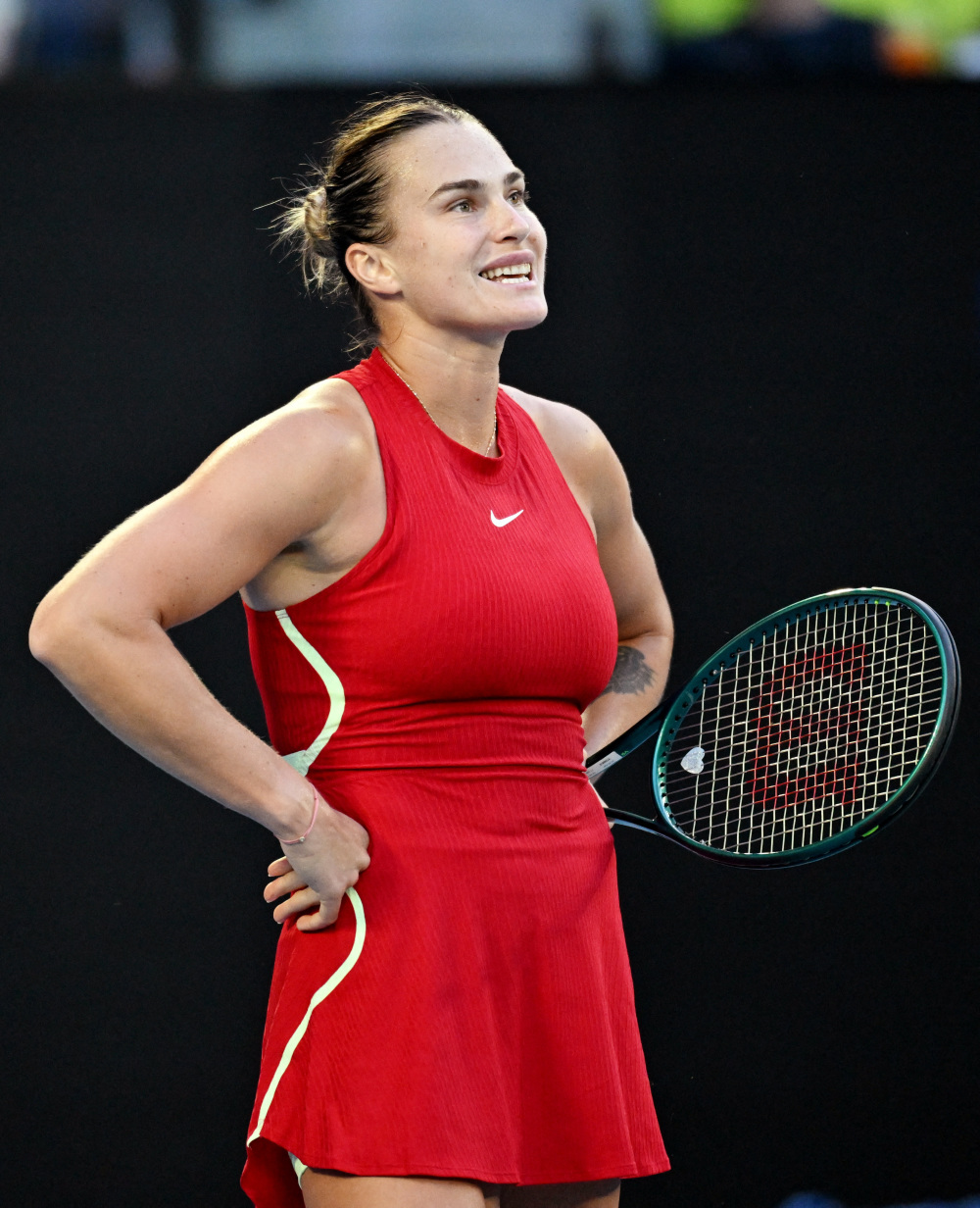 将稳定化解 将稳定化解