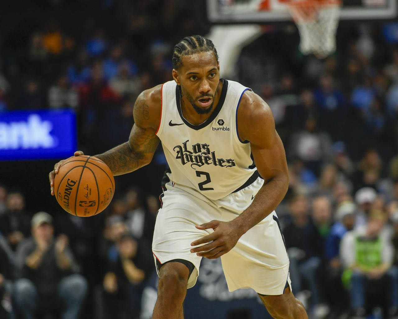 只能选择包 只能选择包